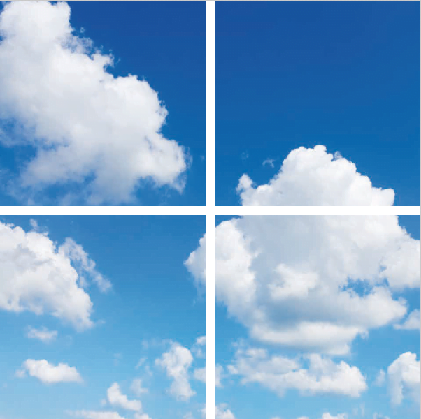 FOTOPRINT AFBEELDING WOLK | VERDEELD OVER 4 PANELEN | 595 X 595 MM