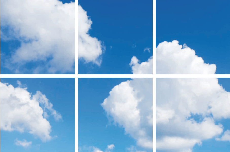 FOTOPRINT AFBEELDING WOLK | VERDEELD OVER 6 PANELEN | 595 X 595 MM