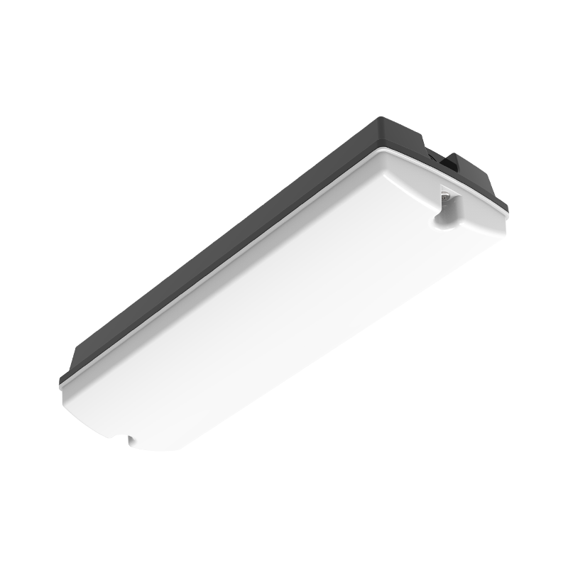 NOODVERLICHTING | 3W | ZWART | MILKY COVER