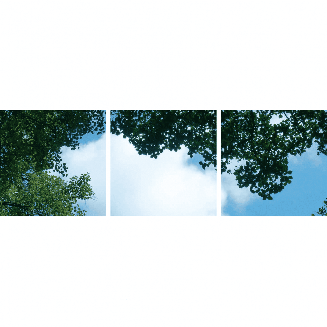 FOTOPRINT AFBEELDING WOLK-BOS | VERDEELD OVER 3 PANELEN | 595 X 595 MM