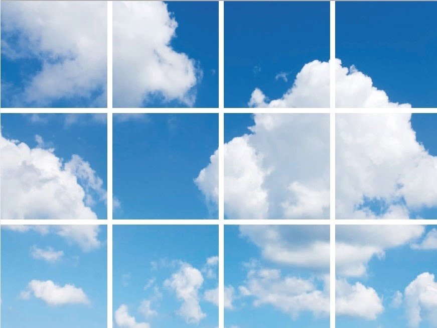 FOTOPRINT AFBEELDING WOLK | VERDEELD OVER 12 PANELEN | 595 X 595 MM