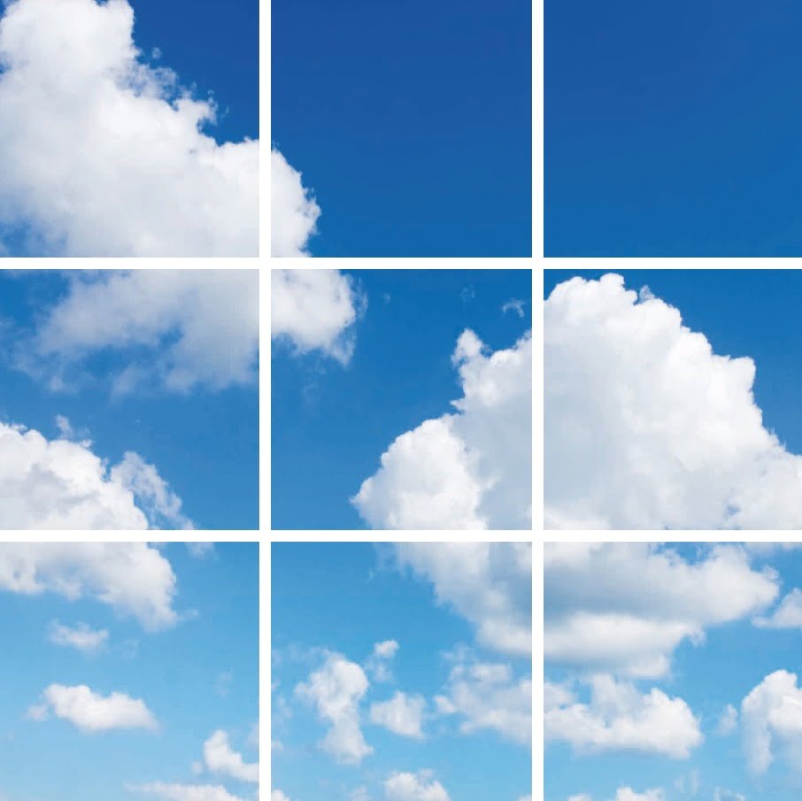 FOTOPRINT AFBEELDING WOLK | VERDEELD OVER 9 PANELEN | 595 X 595 MM